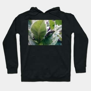 I am a butterfly! Hoodie